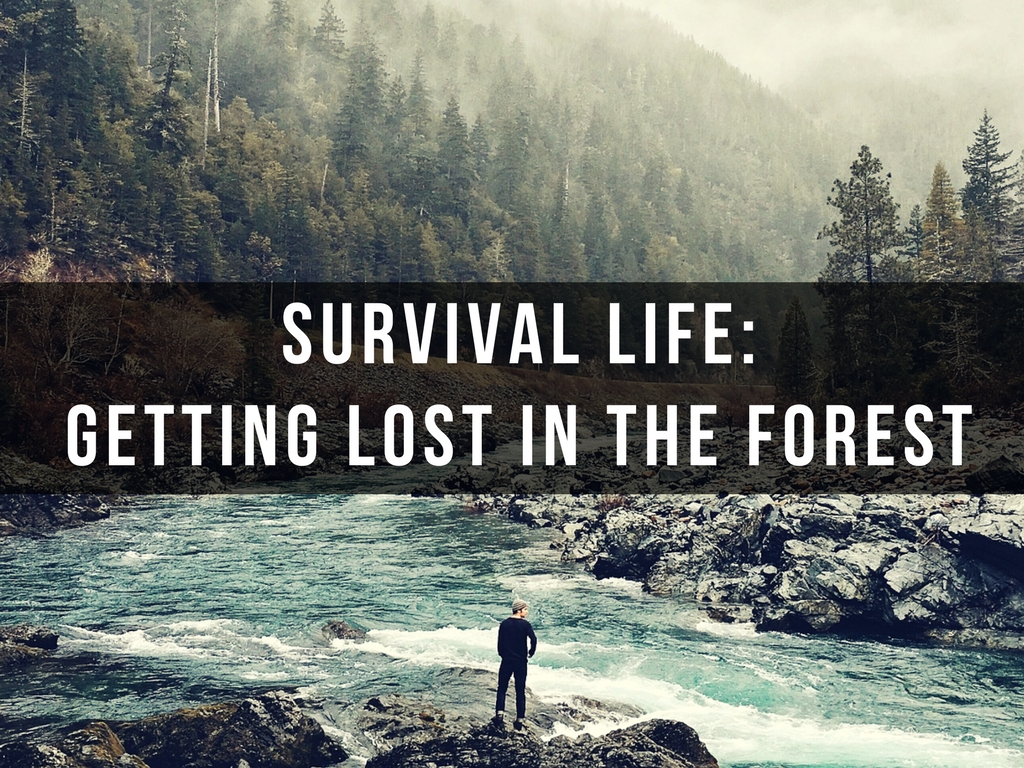 Survival Life: Getting Lost In The Forest